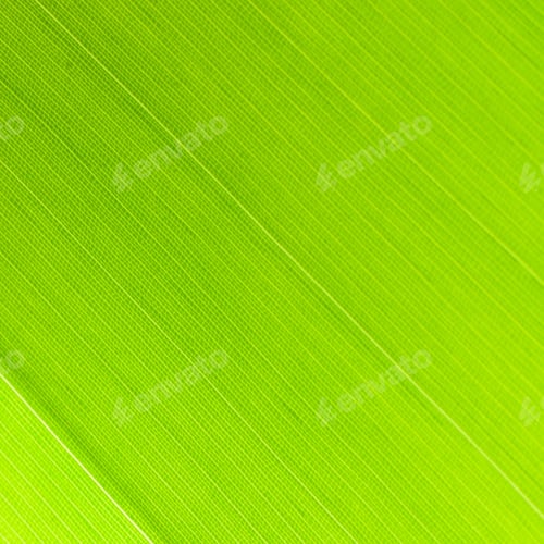 Preview: leaf abstract
