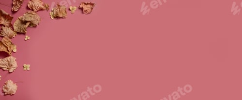 Preview: Golden fall autumn leaves of different shapes on pink background. Autumn concept