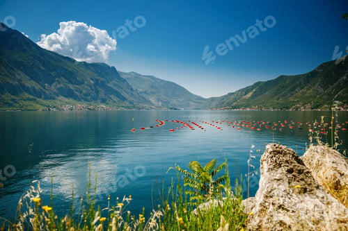 Preview: Landscape with one of the mussel and oyster farms in the Bay of Kotor