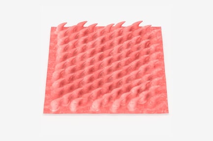 Preview: Papillae-Covered Tongue Surface