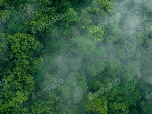Preview: Aerial view of beautiful forest mountain landscape