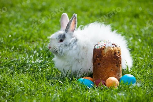 Preview: Easter bunny behind Easter cake and painted eggs