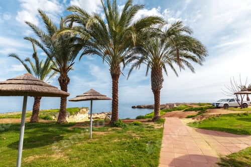 Preview: Tropical coast, beach