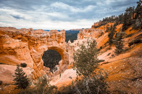 Preview: High angle shot of the beautiful rock formations captured in Bryce National Park, USA
