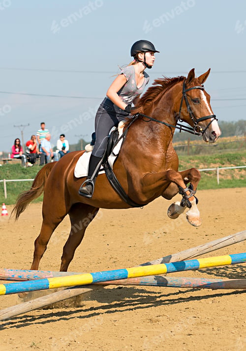 Preview: Horse At Jumping Competition