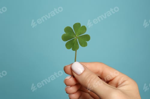 Preview: Woman holding green four leaf clover on light blue background, closeup