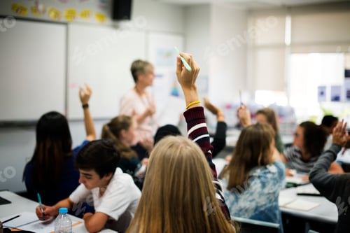 Preview: Group of students learning school lifestyle