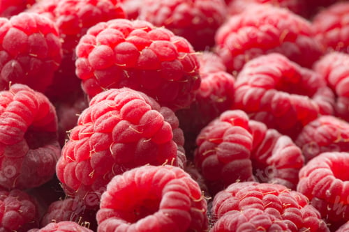 Preview: Closeup of fresh raspberries