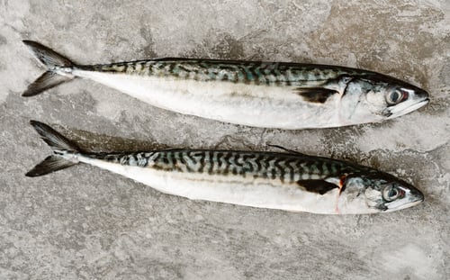 Preview: Fresh fish with delicious chopped seasoning ready for tasty cooking on dark background, top view