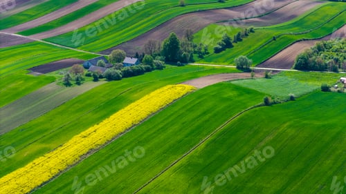 Preview: Colorful countryside and farmlands in Ponidzie region of Poland. Aerial drone view