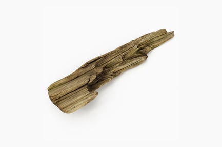 Preview: Weathered Beach Driftwood Log