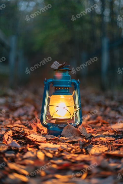 Preview: Blue lamp in foliage