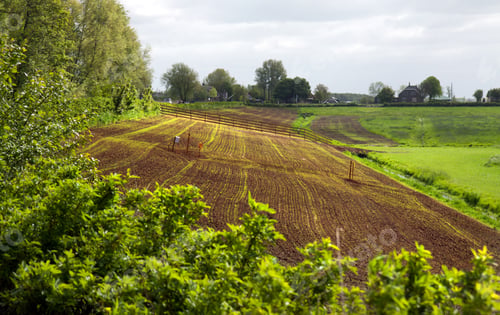 Preview: Dike reenforcement in the Netherlands: ewly sown grass appearing