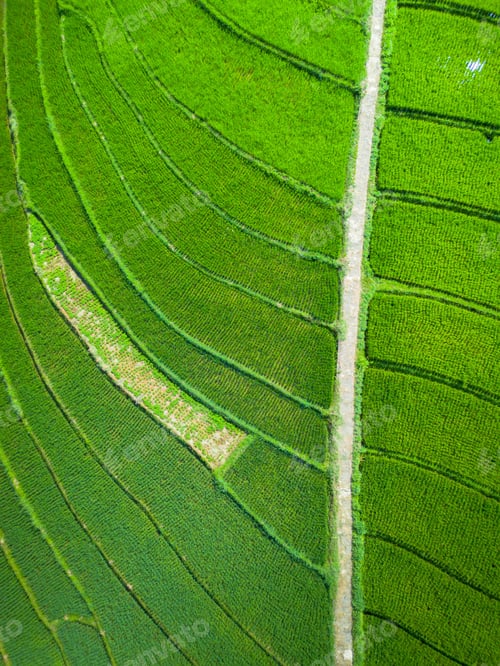 Preview: beautiful morning aerial view of Indonesia with mountains and tropical forests