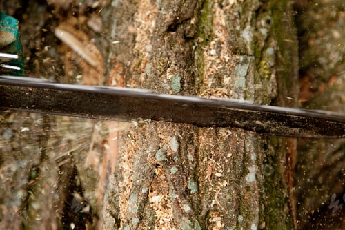 Preview: Man cutting piece of wood with chain saw.