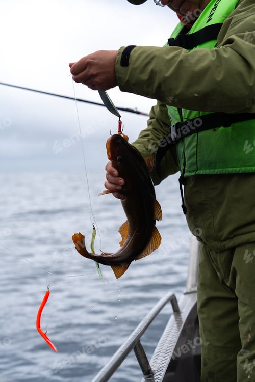 Preview: Fisherman Removing Fish from Hook while Fishing in Beautiful Norway
