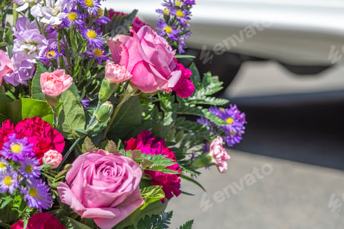 Preview: Close-up photo of colorful flowers with green leaves