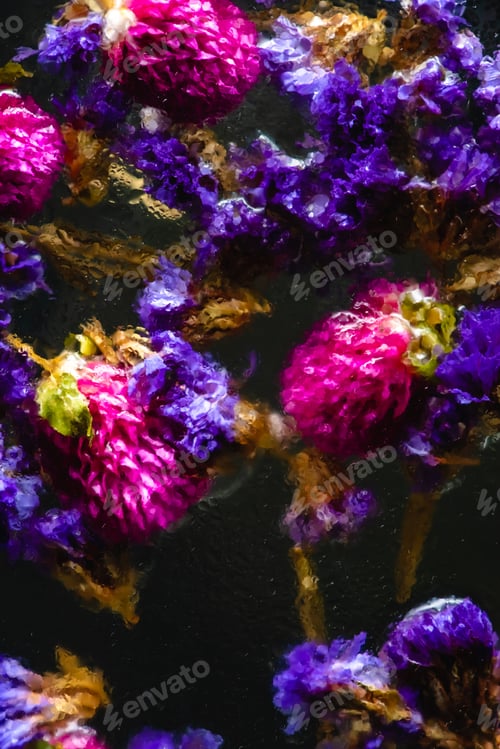Preview: close-up view of small blue and pink flowers in water on black