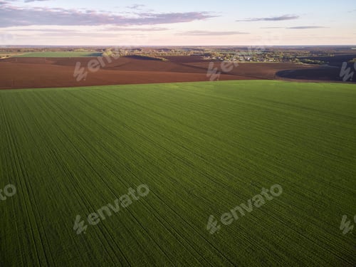 Preview: Aerial View of landscape with green agricultural fields, springtime.