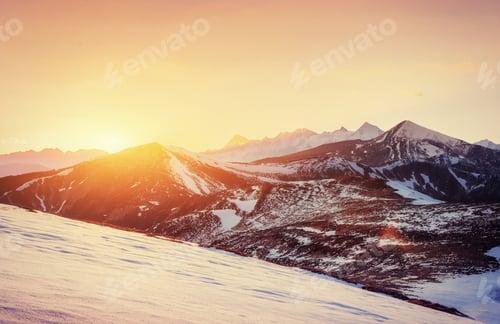 Preview: magical winter snow covered tree. Sunset in the Carpathians. Ukr