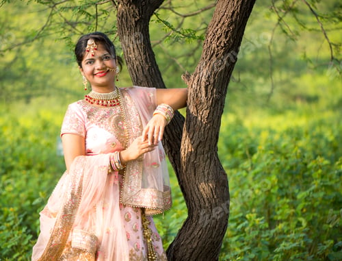 Preview: Beautiful Indian bride in traditional wedding dress.