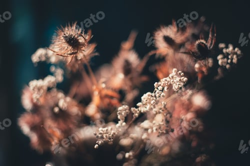 Preview: backlited flowers in vase on the table in sunset time
