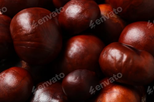 Preview: Fresh and ripe chestnuts, close up, Autumn chestnuts