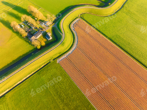 Preview: Field with rows. Drone view of a road with curves. Road through the field. Nature.