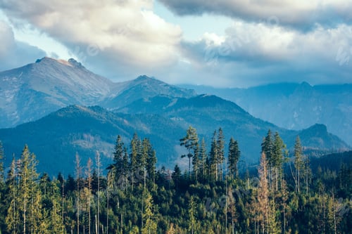 Preview: Forest under mountain peaks in clouds at sunset. Tatra Mountains, Poland.
