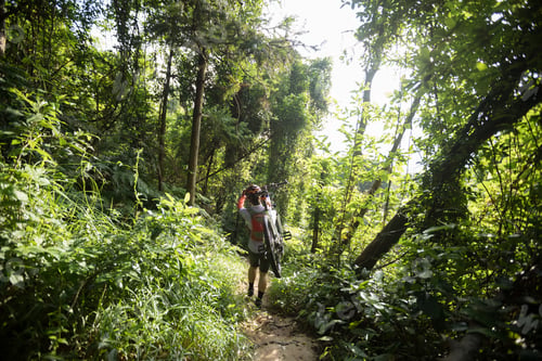 Preview: Cyclist carrying a mountain bike in the forest