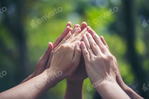 Preview: Diversity multiethnic high five group of business people success team hands together