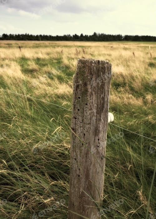 Preview: In the wild. Cropped shot of an outdoor scene.