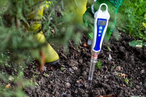 Preview: PH meter tester in soil. Measure soil with digital device.