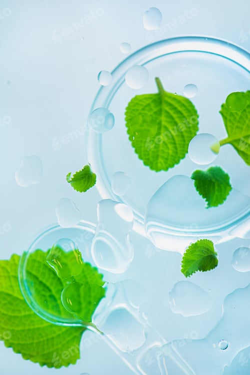 Preview: Mint leaves with water drops, beauty, pharmacy