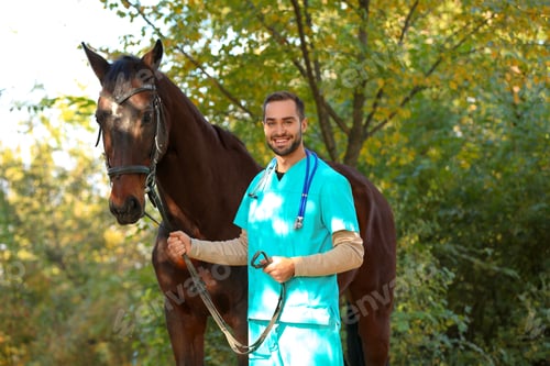 Preview: Veterinarian in uniform with beautiful brown horse outdoors