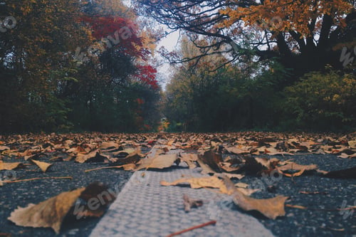 Preview: Autumn path.