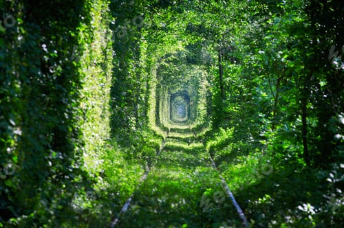 Preview: Magic Tunnel of Love, green trees and the railroad