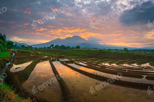 Preview: Beautiful morning view indonesia, Panorama Landscape paddy fields with beauty color and sky natural