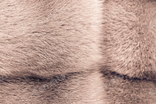 Preview: Fluffy Texture Of Fur Of Wild Animals Of Brown Color For Abstract Backgrounds
