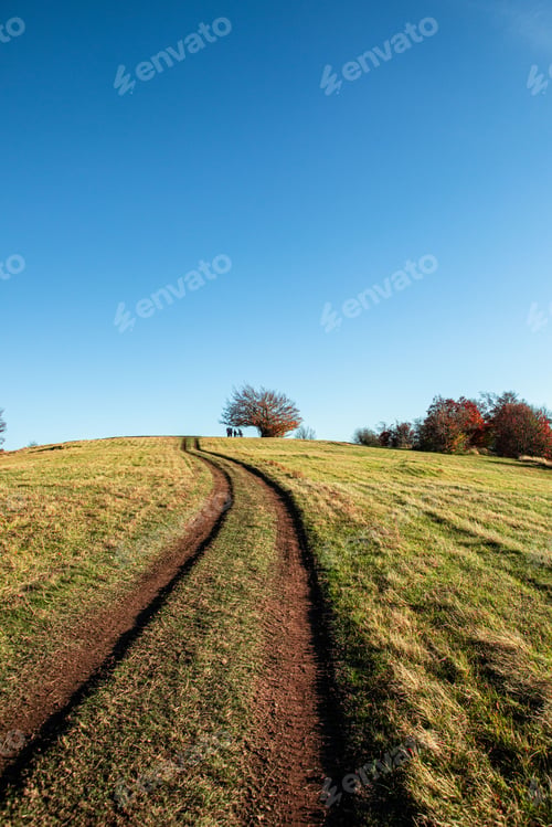 Preview: Grassy hill with dirt path under blue sky