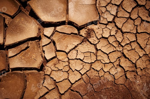 Preview: Dry cracked earth texture