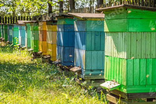 Preview: Handmade apiary full of bees in summer garden