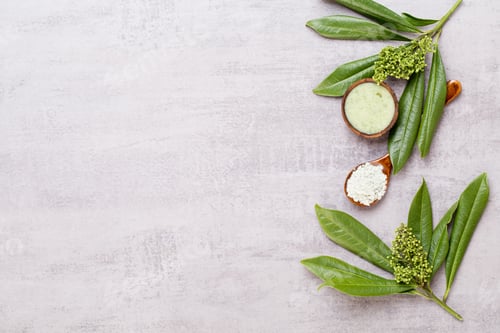 Preview: Bio herbal green cosmetic arrangement, sea salt and handmade cosmetic.