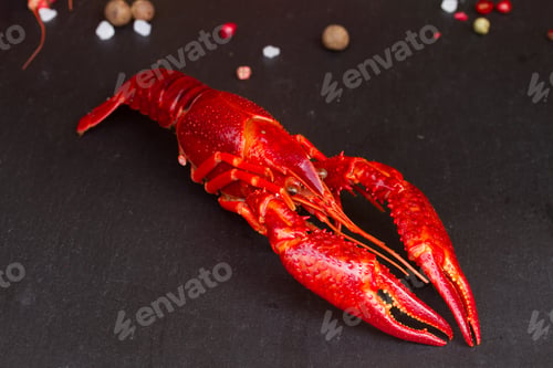 Vivid Red Crawfish on Dark Background