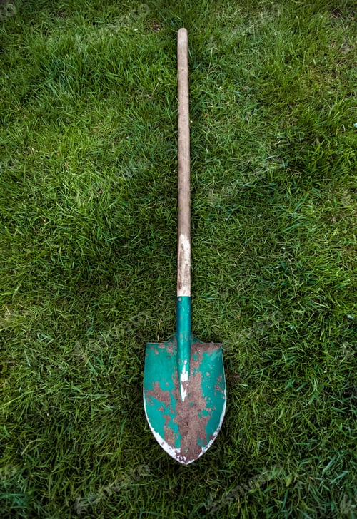 Preview: metal green shovel with wooden handle on grass lawn