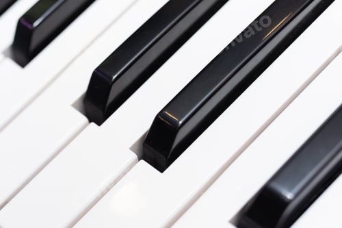 Preview: Black and white piano keys close up