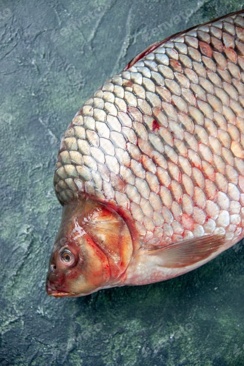 Preview: top view fresh raw fish on dark blue background meat water ocean food color horizontal meal seafood