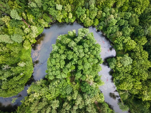 Preview: Top down view of kayaking on river in wildlife, Poland