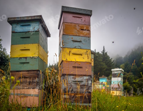Preview: Colorful vintage wooden Bee Hives