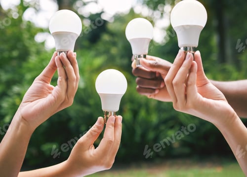 Preview: Multiple hands holding lightbulbs outside in nature. Closeup of multiethnic people holding bulbs as